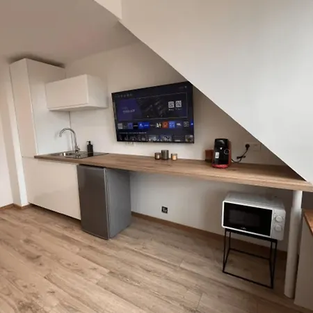 Cosy Rent Studio Centre - Tv - Wifi Apartament *
