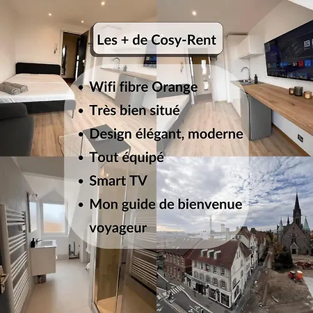 Cosy Rent Studio Centre - Tv - Wifi * Schiltigheim